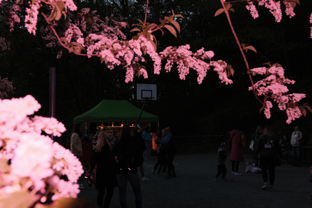 DSCF1047.JPG
