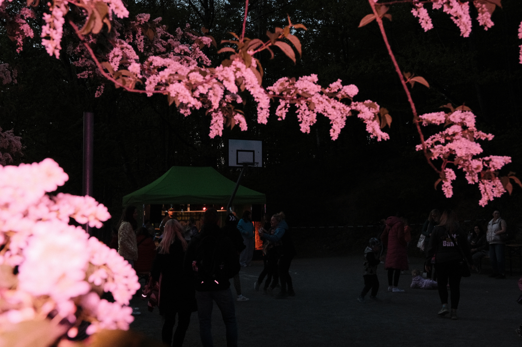 DSCF1047.JPG