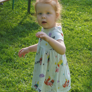 DSC00042.JPG