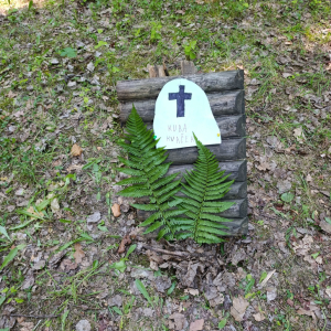 IMG_20250630_101358.jpg