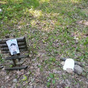 IMG_20250630_095727.jpg