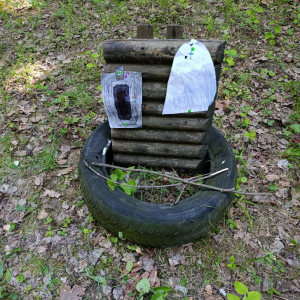 IMG_20250630_095747.jpg
